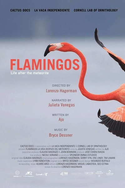 Фламинго: Жизнь после метеорита