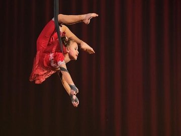 Фестиваль-конкурс детских любительских цирковых коллективов