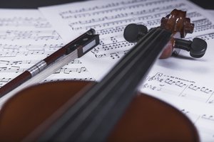 Орган и скрипка: из Венгрии в Россию