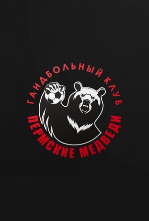 Гандбол. Пермские Медведи.