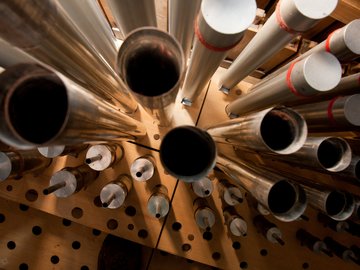 Всероссийский день органа