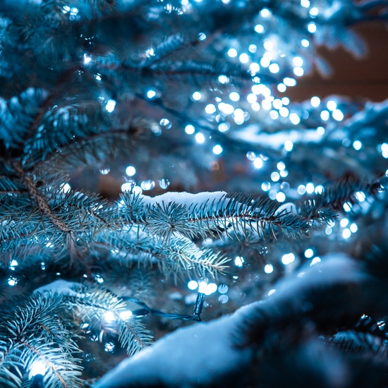 Чудеса в Дедморозовке