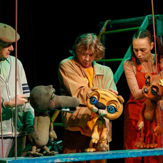 Сюрприз для улитки