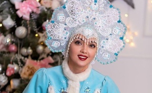 Снежные сказки Метельки