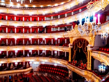 Летучая мышь