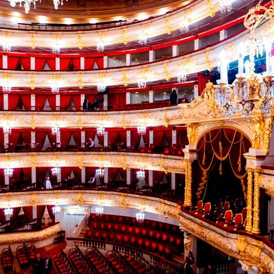 Летучая мышь