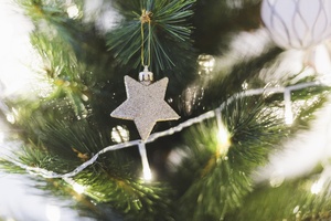 Сказочное новогодие в Прикамье. Проказы Шуралешки