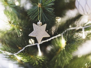 Сказочное новогодие в Прикамье. Проказы Шуралешки