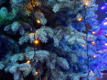 Волшебный поезд Лайт «Новогодний маршрут»