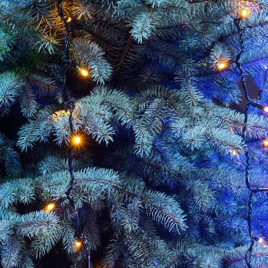 Волшебный поезд Лайт «Новогодний маршрут»