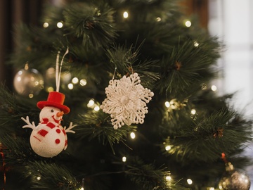 Зимнее приключение