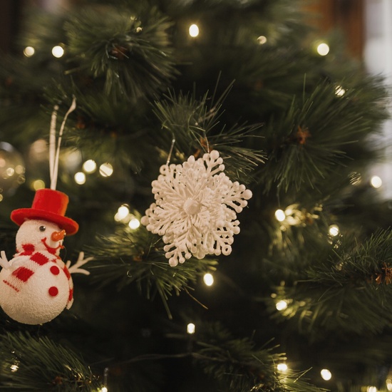 Зимнее приключение