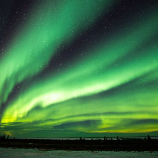 Приключения Хрумки в зимнем лесу