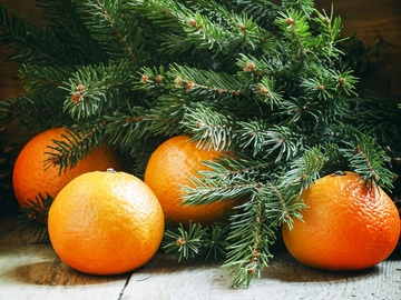 В гости к Деду Морозу