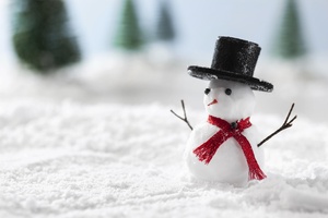 Фантастическое крио-шоу чудес