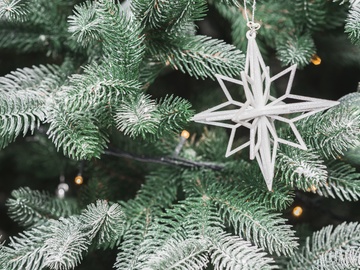 Звёздный экспресс: Космо Новый год