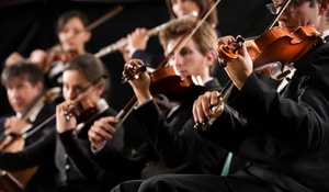 Рождество с Гарри Поттером