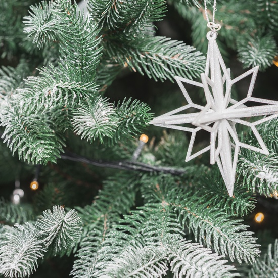 По следам Нового года