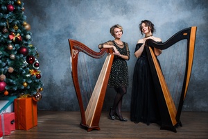 Снежные мелодии арфы