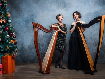 Снежные мелодии арфы