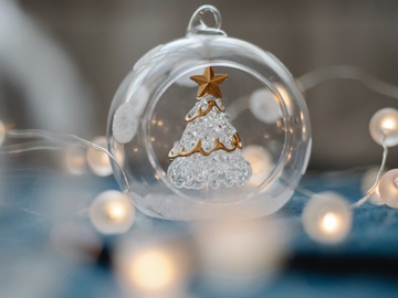 Там, где живут чудеса