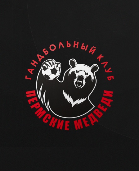 Гандбол. Пермские Медведи.