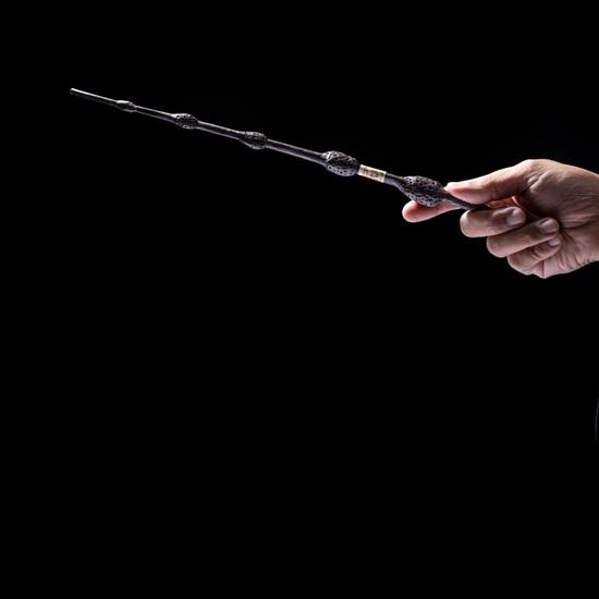 Оркестр Sonorus. Гарри Поттер