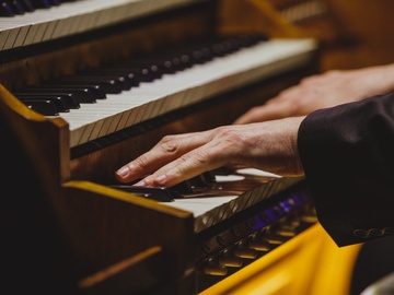 Пять веков виола да гамба