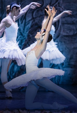 Лебединое озеро.