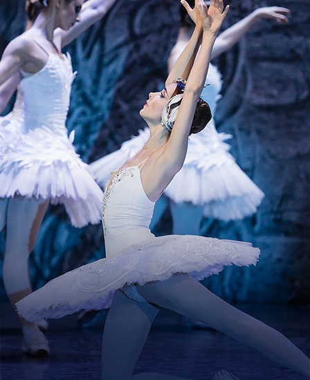 Лебединое озеро.