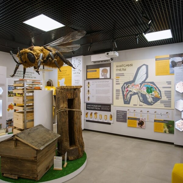 Экскурсия в музей северного пчеловодства
