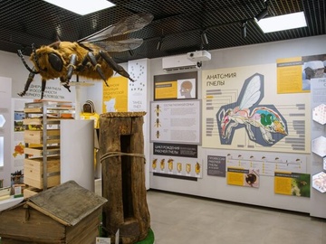 Экскурсия в музей северного пчеловодства