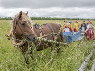 Сею-вею, посеваю