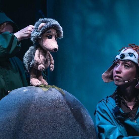 Ёжикина гора