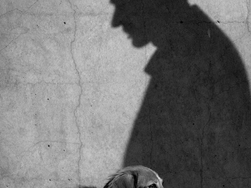 Каштанка: История собаки