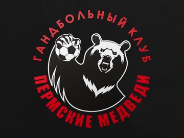 Гандбол. Пермские Медведи.