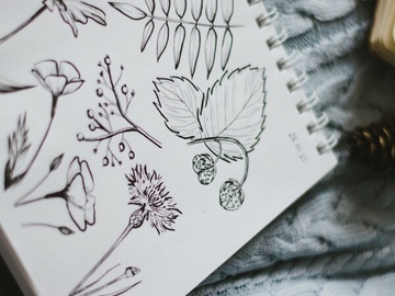 Мастер-класс по созданию собственного стикерпака для соцсетей