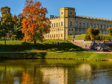 Цветущее Прикамье: секреты профессионального сада с мастер-классом по выращиванию и уходу за гортензией