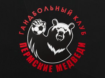 Гандбол. Пермские Медведи.